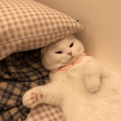 日韩也没想到，中国棋圣聂卫平离世